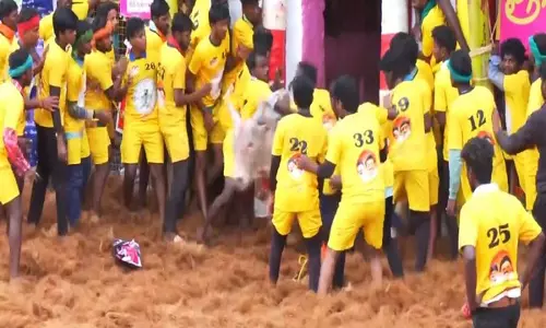 Tamil Nadu: मदुरै में जल्लीकट्टू का दूसरा दिन शुरू हुआ