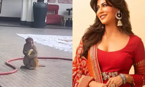 Chitrangada Singh ने सेट पर नए लंच गेस्ट की झलक दिखाई