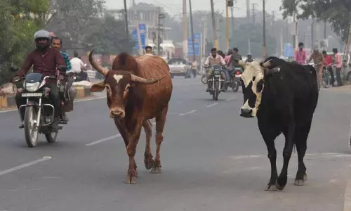 पर्याप्त धन न होने के कारण पठानकोट MC ने राजस्व बढ़ाने की मांग की