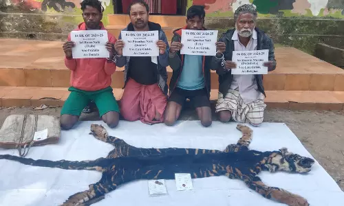 Odisha: सिमिलिपाल में दुर्लभ मेलेनिस्टिक बाघ का शिकार खाल जब्त, 4 गिरफ्तार