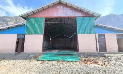 Palampur का गौ अभयारण्य चालू होने का इंतजार कर रहा