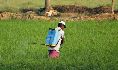 मृत ऋणधारकों के परिजनों और छोटे किसानों के लिए OTS योजना लाएं बैंक