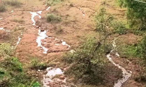 GOA: राजमार्ग विस्तार से उपजाऊ भूमि नष्ट होने पर किसानों ने कार्रवाई की मांग की