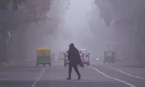 ठंड की वापसी, IMD ने ओडिशा में घने कोहरे के लिए येलो अलर्ट जारी किया