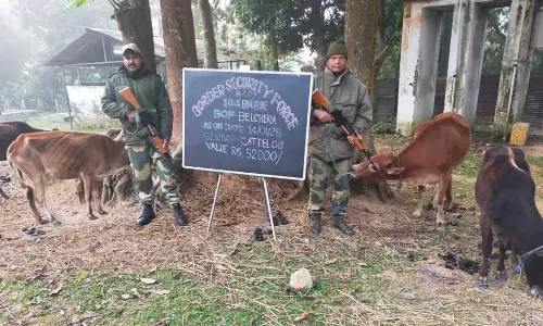 Tripura बीएसएफ ने भारत-बांग्लादेश सीमा पर 22 लाख रुपये मूल्य का प्रतिबंधित सामान जब्त