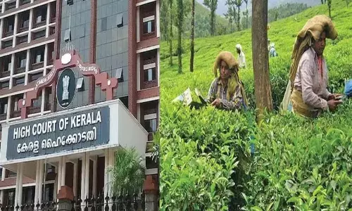 वायनाड पुनर्वास: आपदा पीड़ितों के पुनर्वास के लिए हैरिसन ने फिर HC में अपील की वायनाड पुनर्वास: आपदा पीड़ितों के पुनर्वास के लिए हैरिसन ने फिर HC में अपील की