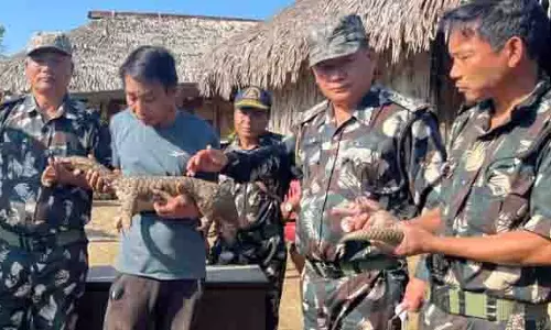 Arunachal: पैंगोलिन को बचाया, पैंगोपप डी. एरिंग डब्ल्यूएलएस में छोड़ा Arunachal: पैंगोलिन को बचाया, पैंगोपप डी. एरिंग डब्ल्यूएलएस में छोड़ा