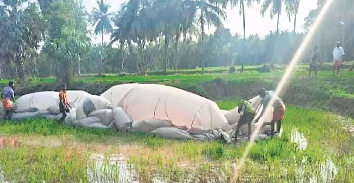 Tamil Nadu: पोलाची से आया हॉट एयर बैलून उतरने पर छह लोग सुरक्षित