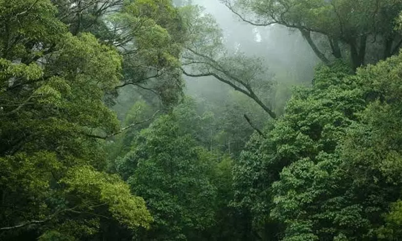 वन अधिनियम संशोधन: विरोध करने पर हमला, सरकार ने यू-टर्न ले लिया