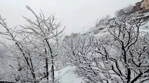 Himachal weather: ऊंचाई वाले इलाके बर्फ की सफेद चादर से ढके