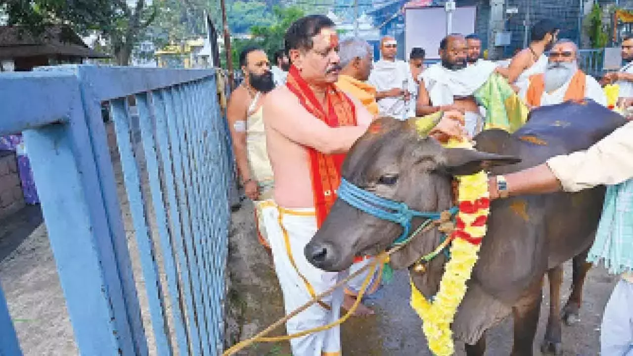 Andhra: श्रीशैलम में गो पूजा, रावण वाहन सेवा आयोजित की गई