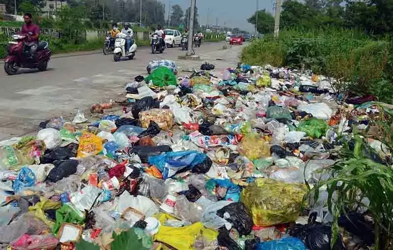 Amritsar: भोजनालयों के पास सड़कों पर कूड़ा फेंकने के संबंध में कार्रवाई की मांग की