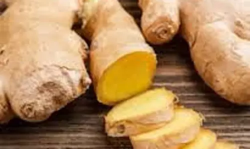 Health: भुना हुआ अदरक कई स्वास्थ्य समस्याओं के लिए है फायदेमंद Health: भुना हुआ अदरक कई स्वास्थ्य समस्याओं के लिए है फायदेमंद