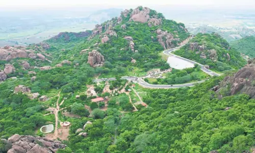 Andhra: कोंडावीडु किले और उप्पलापाडु पक्षी अभयारण्य में पर्यटकों की संख्या बढ़ रही Andhra: कोंडावीडु किले और उप्पलापाडु पक्षी अभयारण्य में पर्यटकों की संख्या बढ़ रही