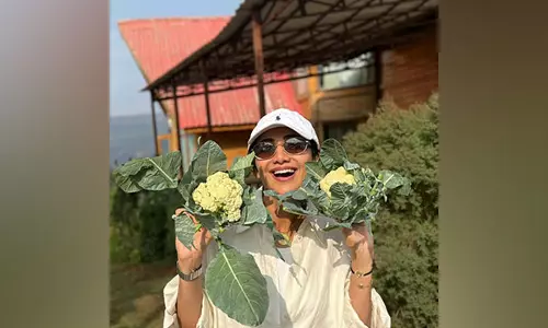 आलू और गोभी खाई: Shilpa Shetty खेत की ताजा खुशियों का लुत्फ़ उठा रही