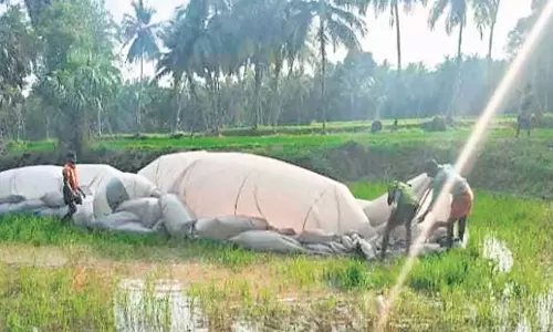 Tamil Nadu: पोलाची से आया हॉट एयर बैलून उतरने पर छह लोग सुरक्षित