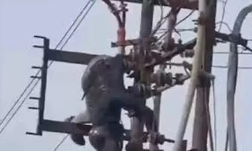 Bareilly: करंट लगने से पोल पर उल्टा फंसा लाइनमैन Bareilly: करंट लगने से पोल पर उल्टा फंसा लाइनमैन