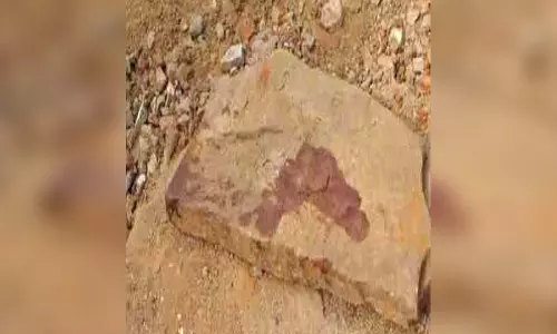 महिला खून से लथपथ घर के बाहर मिली, इलाके में हड़कंप