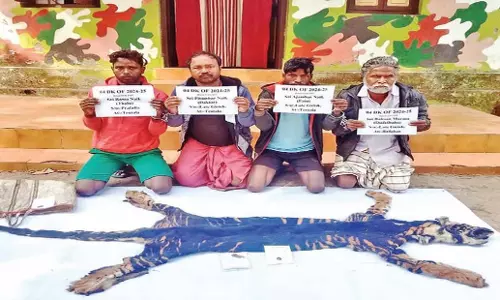 Odisha: सिमिलिपाल के सीमांत गांवों से मेलेनिस्टिक बाघ की खाल जब्त की गई