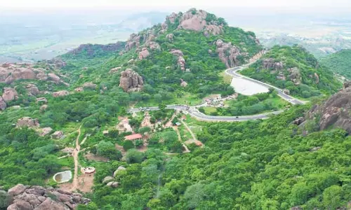 AP: कोंडावीडु किले-उप्पलापाडु पक्षी अभयारण्य में पर्यटकों की संख्या बढ़ी AP: कोंडावीडु किले-उप्पलापाडु पक्षी अभयारण्य में पर्यटकों की संख्या बढ़ी