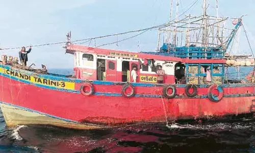 गहिरमाथा में अवैध मछली पकड़ने से कछुओं को खतरा गहिरमाथा में अवैध मछली पकड़ने से कछुओं को खतरा