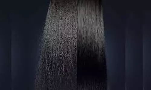 Honey For Hair: सेहत ही नहीं बालों के लिए भी फायदेमंद है शहद