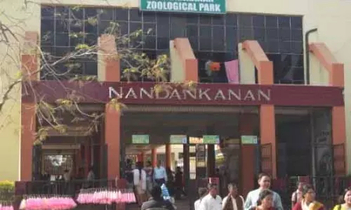 शहर के चिड़ियाघर में सफ़ेद बाघ शावक और मादा बाघ की मौत