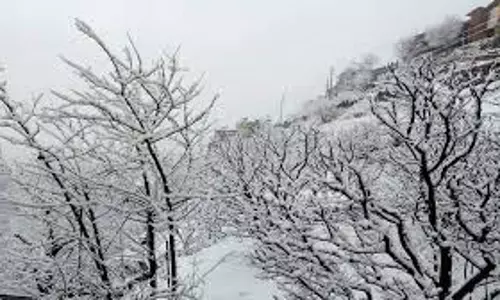 Himachal weather: ऊंचाई वाले इलाके बर्फ की सफेद चादर से ढके Himachal weather: ऊंचाई वाले इलाके बर्फ की सफेद चादर से ढके