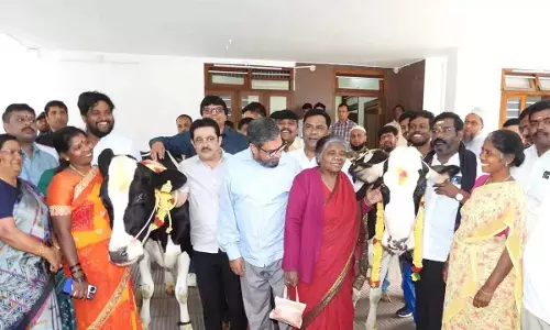 Bengaluru: ज़मीर अहमद खान ने तीन गायें उपहार में दीं Bengaluru: ज़मीर अहमद खान ने तीन गायें उपहार में दीं