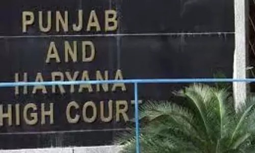 HC ने निकाय चुनावों में देरी के लिए पंजाब चुनाव आयोग को कड़ी फटकार लगाई HC ने निकाय चुनावों में देरी के लिए पंजाब चुनाव आयोग को कड़ी फटकार लगाई