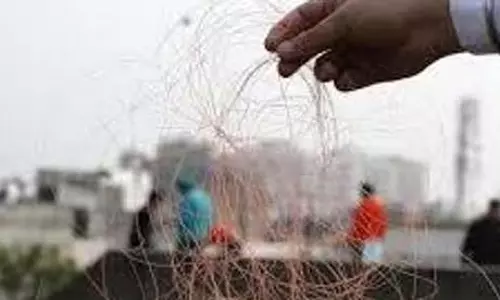 Punjab: चीनी डोर पर प्रतिबंध के उल्लंघन पर मिलेगी कड़ी सजा