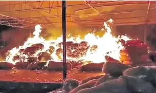 Khammam बाजार में आग लगने से 30 लाख रुपये मूल्य की 800 कपास की बोरियां जल गईं Khammam बाजार में आग लगने से 30 लाख रुपये मूल्य की 800 कपास की बोरियां जल गईं