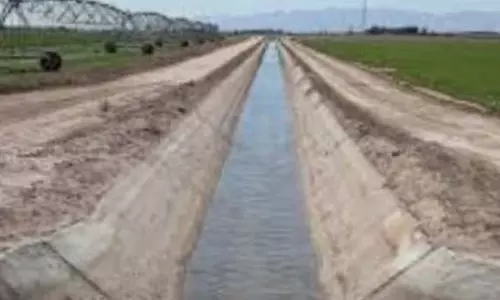 Navelim के किसानों ने कृषि को बढ़ावा देने के लिए बंद नहरों को हटाने की मांग की