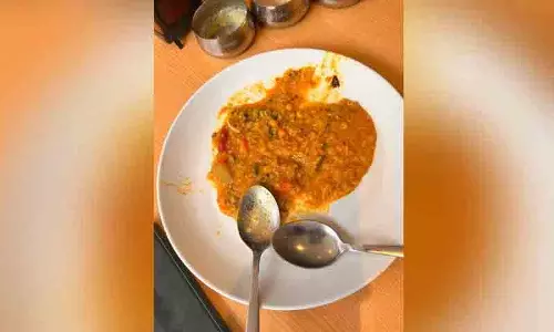 Begumpet के मिनर्वा होटल में सांभर चावल में कॉकरोच मिलने से चिंता बढ़ी Begumpet के मिनर्वा होटल में सांभर चावल में कॉकरोच मिलने से चिंता बढ़ी
