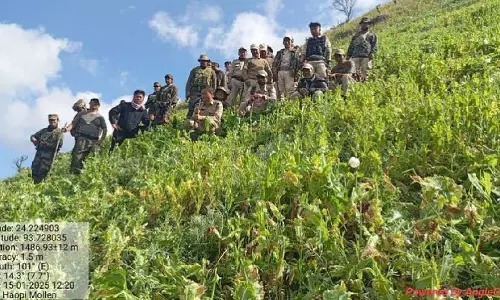 Manipur के सुरक्षा बलों ने चुराचांदपुर जिले में 4.8 एकड़ अफीम की खेती नष्ट की Manipur के सुरक्षा बलों ने चुराचांदपुर जिले में 4.8 एकड़ अफीम की खेती नष्ट की