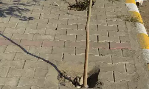 इंटरलॉकिंग टाइल्स को लेकर MC फिर मुसीबत में पड़ सकता इंटरलॉकिंग टाइल्स को लेकर MC फिर मुसीबत में पड़ सकता