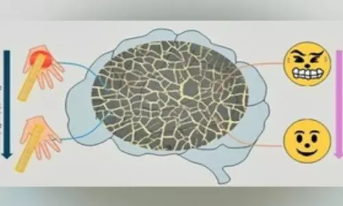 Indian Scientists ने तनाव का पता लगाने वाले पहनने योग्य उपकरण विकसित किए