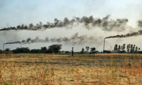 गर्भावस्था से पहले Air Pollution के संपर्क में आने वाली माताओं के लिए जोखिम