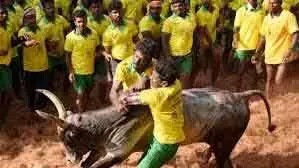 Jallikattu: करूर में दर्शक की पीट-पीट कर हत्या