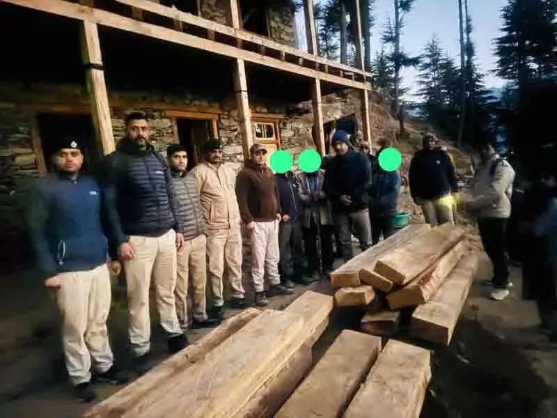 Himachal: अवैध लकड़ी जब्त, पिता-पुत्र गिरफ्तार