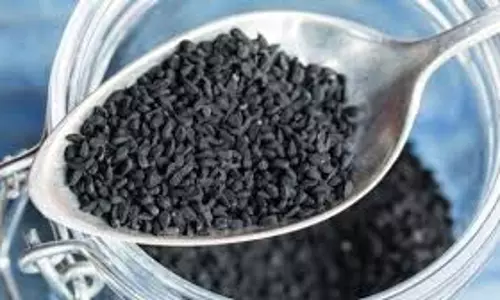 Health: सुबह-सुबह पिएं ये हर्बल पानी, कुछ ही हफ्तों में पिघलने लगेगी शरीर में जमा चर्बी Health: सुबह-सुबह पिएं ये हर्बल पानी, कुछ ही हफ्तों में पिघलने लगेगी शरीर में जमा चर्बी