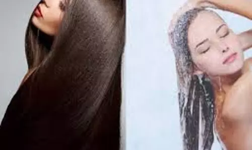 Herbal Shampoo: घर पर बनाना चाहते हैं हर्बल शैम्पू, तो ये जड़ी-बूटियां आएंगी काम Herbal Shampoo: घर पर बनाना चाहते हैं हर्बल शैम्पू, तो ये जड़ी-बूटियां आएंगी काम