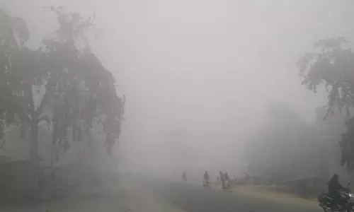 अम्बिकापुर में छाया घना कोहरा अम्बिकापुर में छाया घना कोहरा