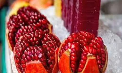 Health: विटामिन सी और आयरन से भरपूर इस फल का जूस पीने से नसों की कमजोरी दूर होती है और मांसपेशियां मजबूत होती हैं Health: विटामिन सी और आयरन से भरपूर इस फल का जूस पीने से नसों की कमजोरी दूर होती है और मांसपेशियां मजबूत होती हैं
