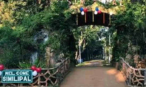 सिमिलिपाल की सुरक्षा के लिए सशस्त्र पुलिस तैनात