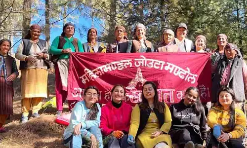 Jubbal village में 1,000 देवदार के पौधे रोपे गए Jubbal village में 1,000 देवदार के पौधे रोपे गए