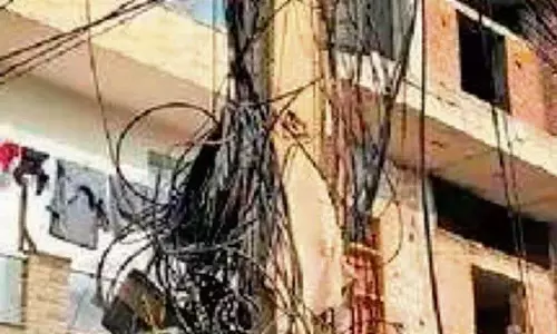Haryana : नरवाना में तारों का जाल Haryana : नरवाना में तारों का जाल