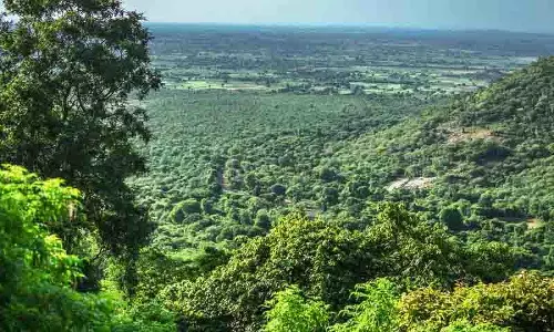 Amrabad टाइगर रिजर्व से चार गांवों को स्थानांतरित करने के लिए एक लाख से अधिक पेड़ काटे जाएंगे Amrabad टाइगर रिजर्व से चार गांवों को स्थानांतरित करने के लिए एक लाख से अधिक पेड़ काटे जाएंगे