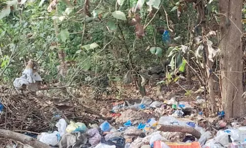 GOA: डोर-टू-डोर कलेक्शन के बावजूद एक्वेम में कचरे का ढेर लगा हुआ