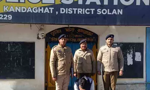 Himachal: गिरफ्तारी से बचने के लिए जाली अदालती दस्तावेज बनाने के आरोप में व्यक्ति गिरफ्तार